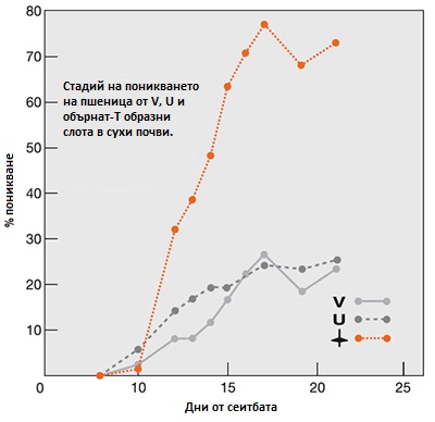 Emergance Graph